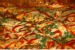lasagna lasagna