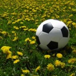 Sports Authority Coupon – $15 Off