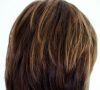 Brown Hair